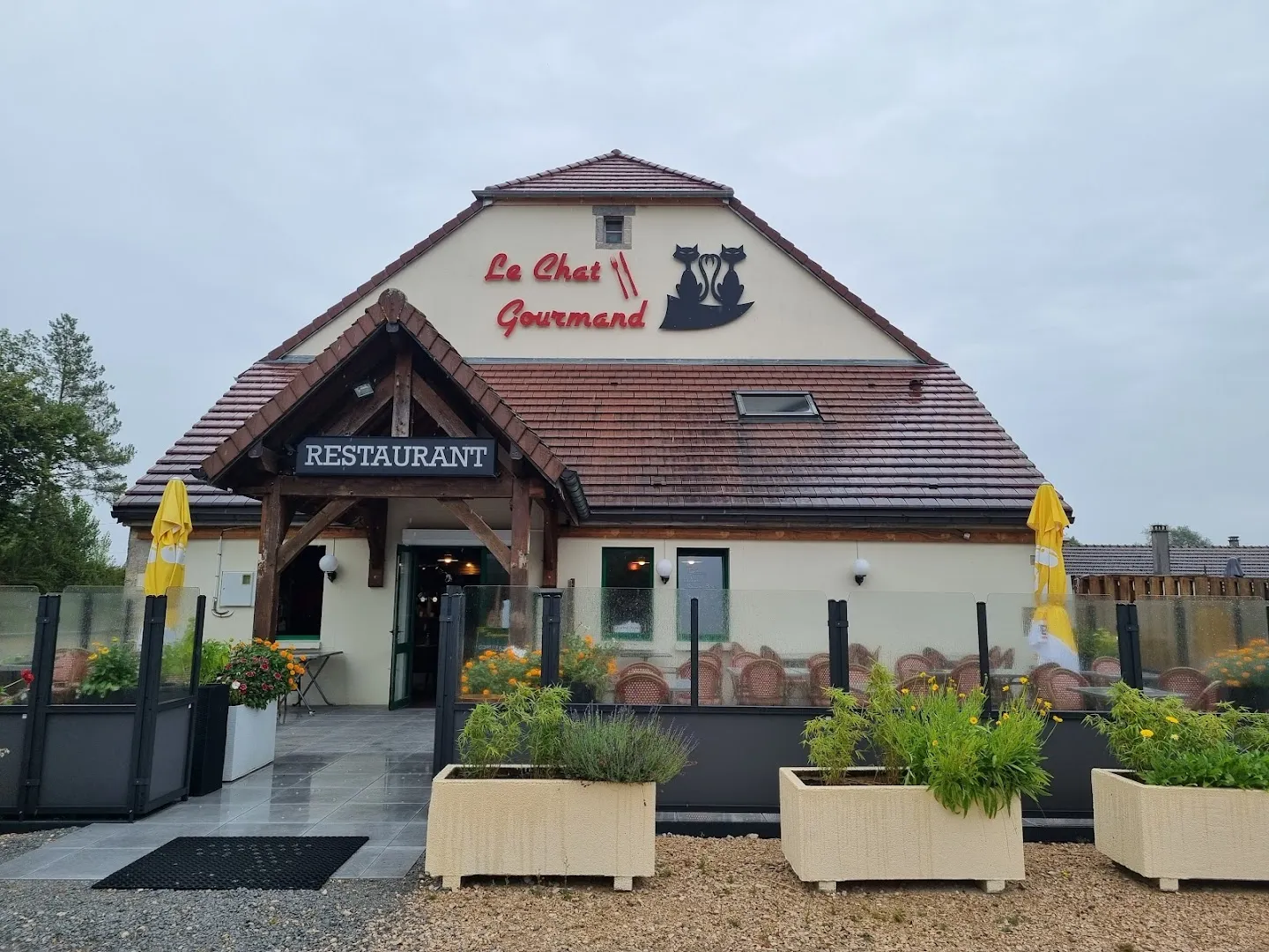 Le Chat Gourmand
